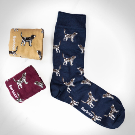 Barbour Pointer Dog Socks Gift Set 