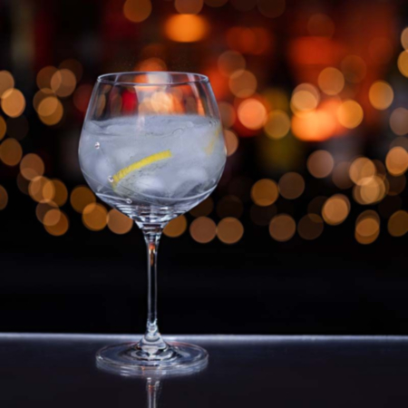 Dartington Swarovski Gin &amp; Tonic Glass