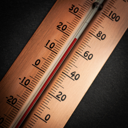 Fallen Fruits Thermometer Copper